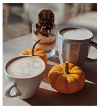 PUMPKIN SPICES BLEND / FRESH & No Chemical (NO SUGAR) (Copy)